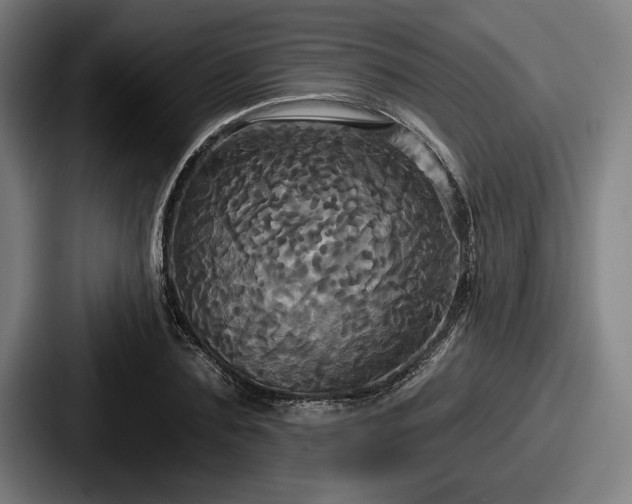 X0000087700883200705111401