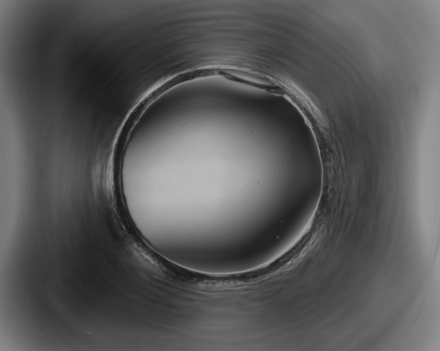 X0000087700884200705111401