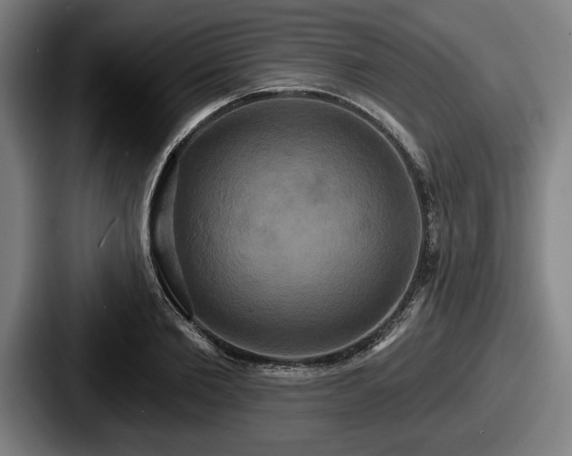 X0000087700885200705111401