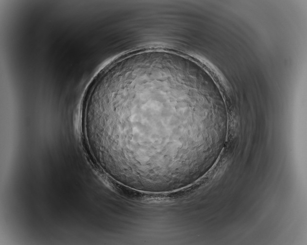 X0000087700886200705111401