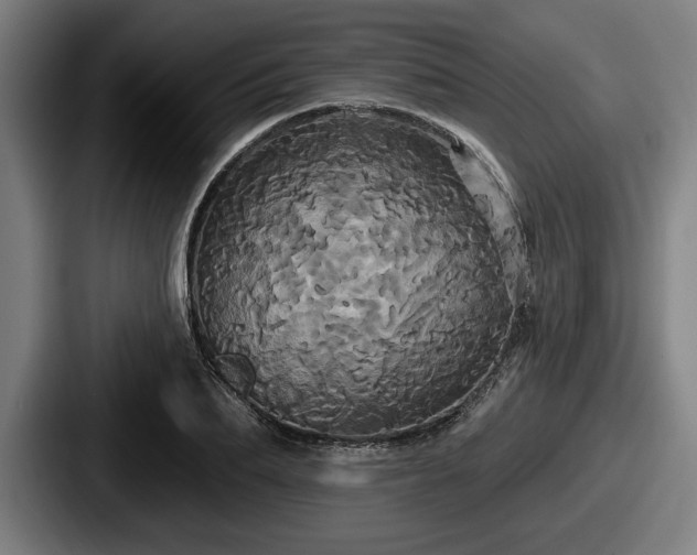 X0000087700887200705111401