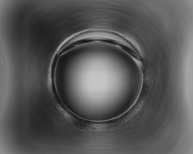 X0000087700888200705111401