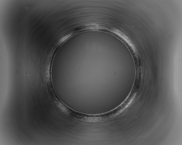 X0000087700889200705111401