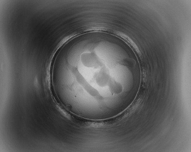 X0000087700890200705111401