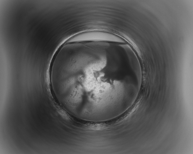 X0000087700891200705111401