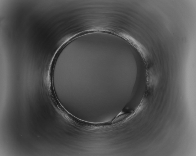 X0000087700892200705111401