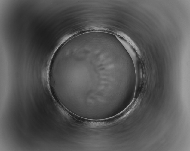 X0000087700893200705111401