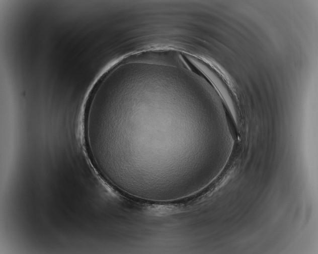 X0000087700894200705111401