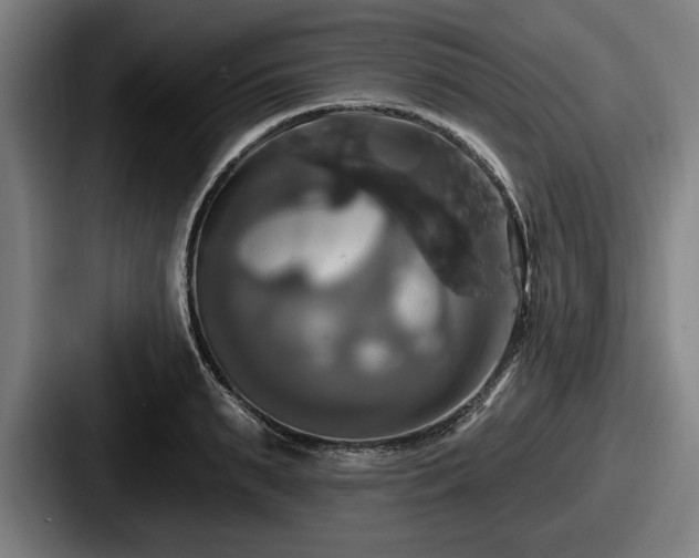 X0000087700895200705111401