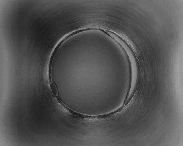 X0000087700896200705111401