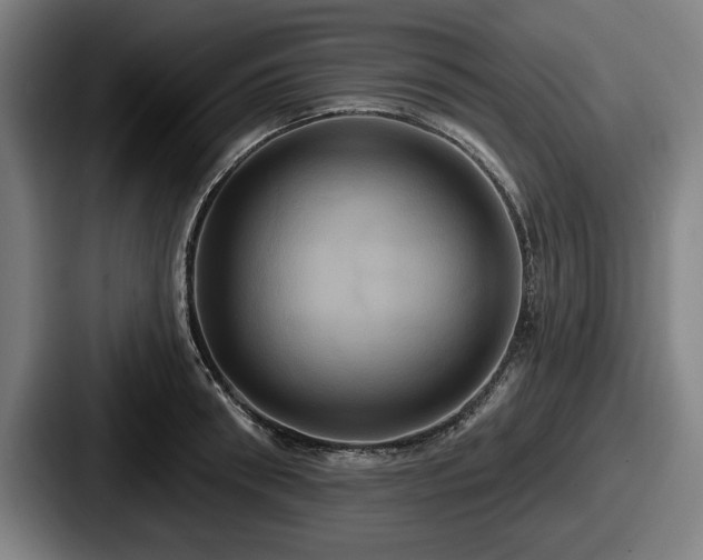 X0000087700898200705111401