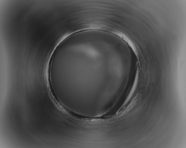 X0000087700899200705111401