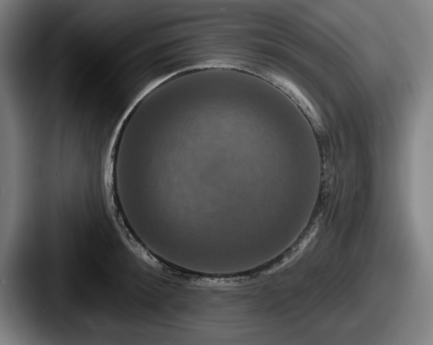 X0000087700900200705111401