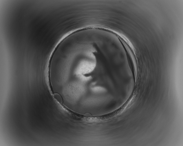 X0000087700903200705111401