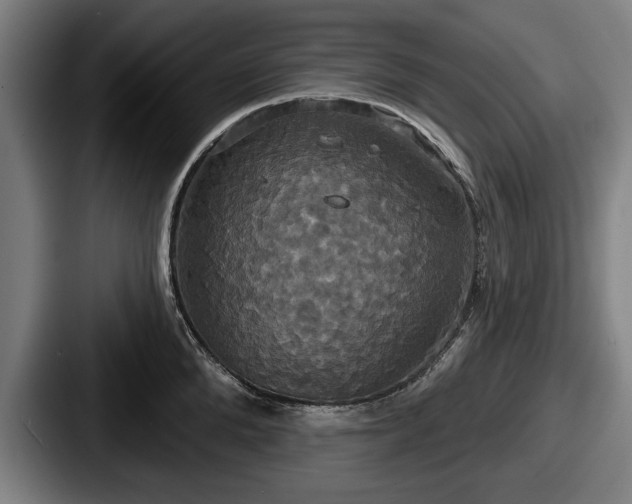 X0000087700904200705111401