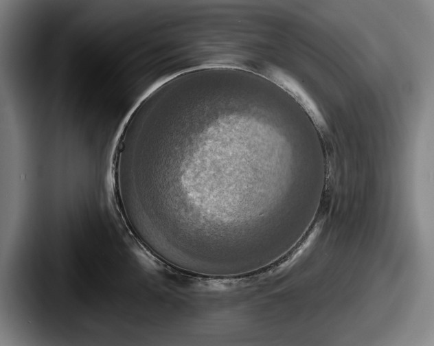 X0000087700908200705111401