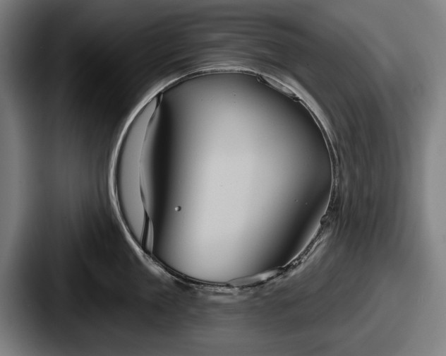 X0000087700909200705111401