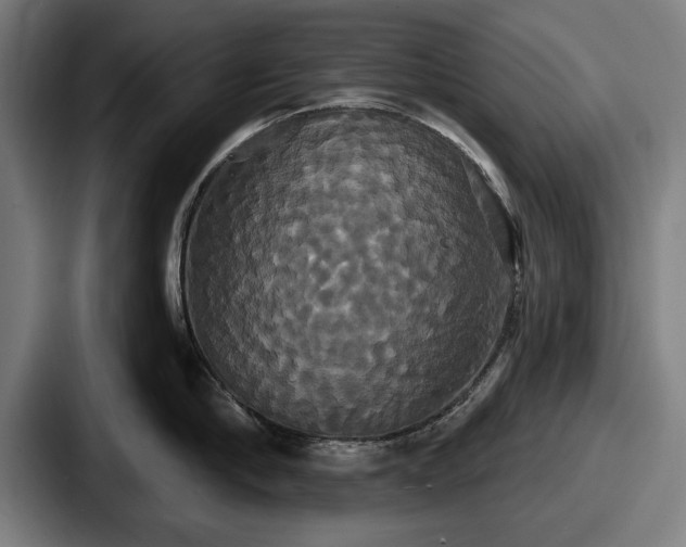 X0000087700910200705111401