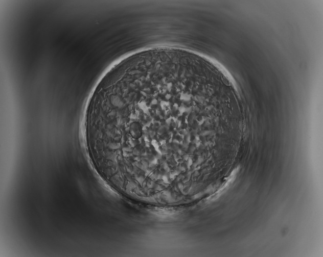 X0000087700911200705111401