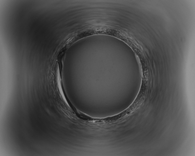 X0000087700916200705111400