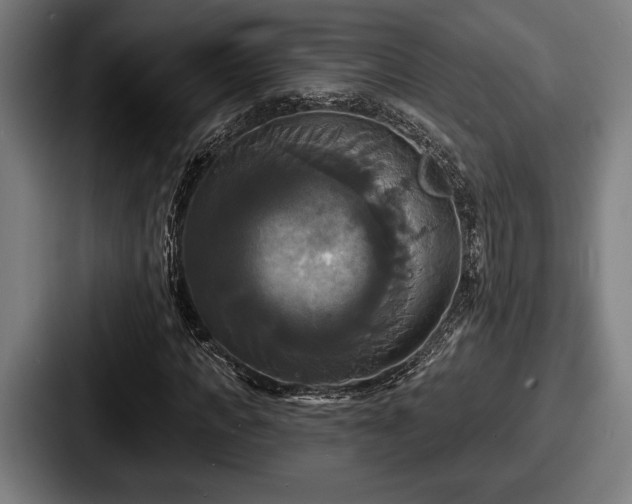 X0000087700917200705111400