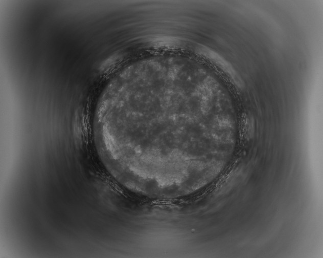 X0000087700918200705111400