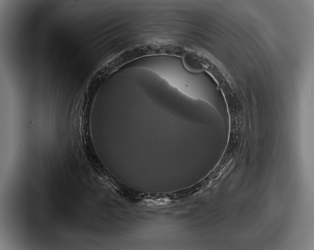 X0000087700919200705111400