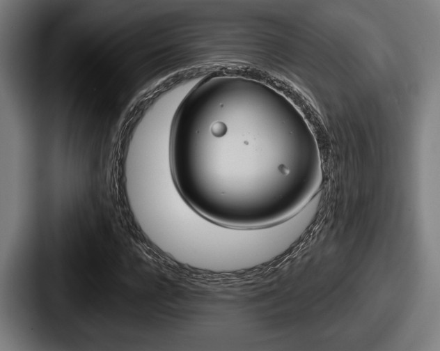 X0000087700920200705111400