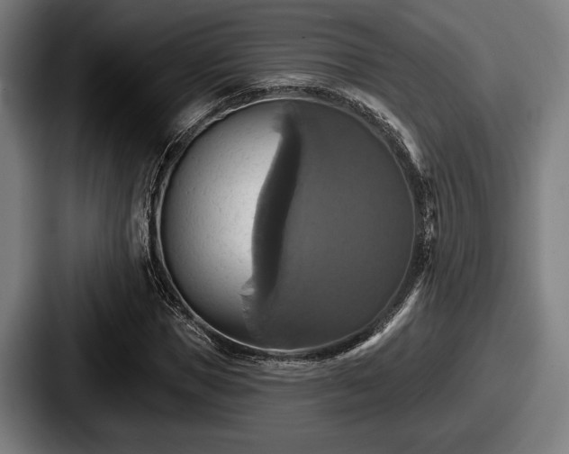 X0000087700921200705111400