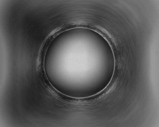 X0000087700922200705111400