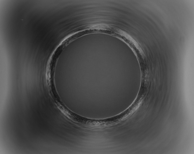 X0000087700923200705111400