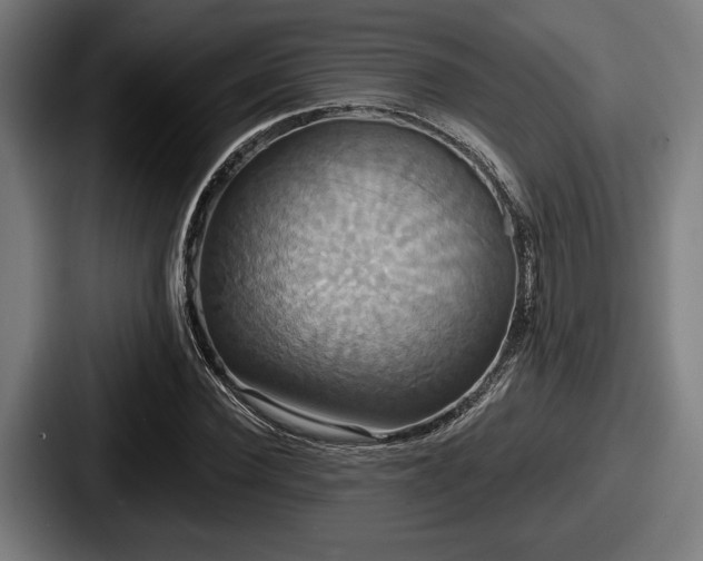 X0000087700924200705111400