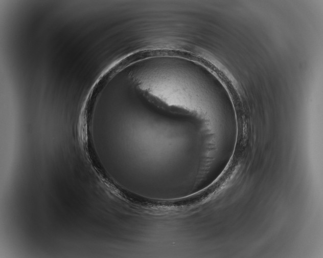 X0000087700925200705111400