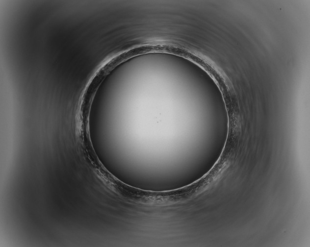 X0000087700927200705111400