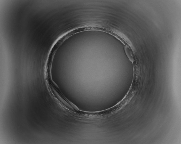 X0000087700928200705111400