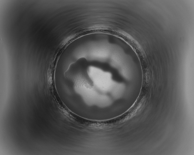 X0000087700929200705111400