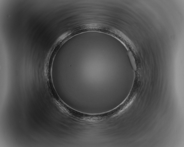 X0000087700930200705111400