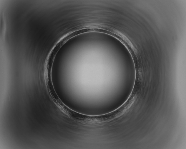 X0000087700931200705111400