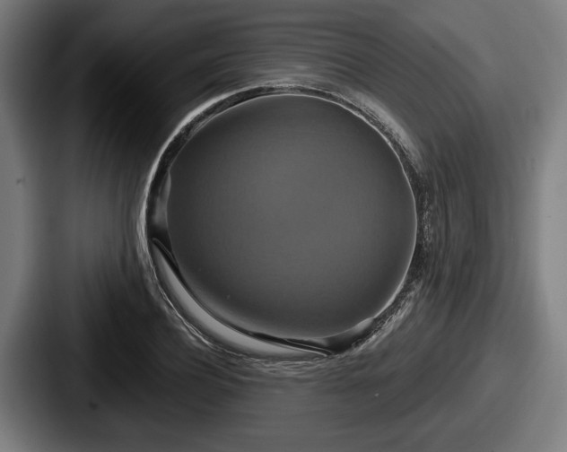 X0000087700932200705111400