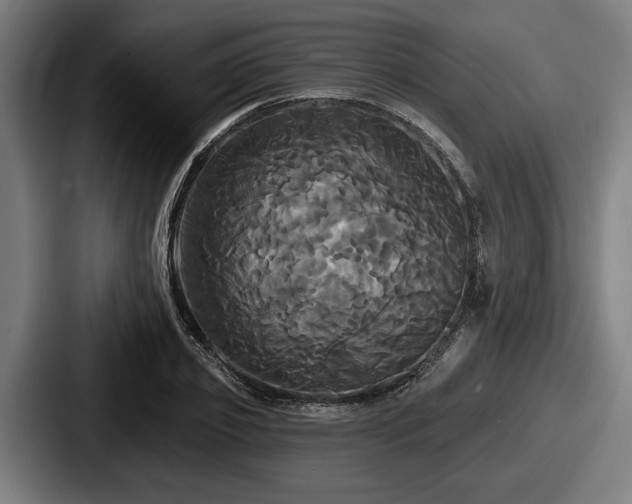 X0000087700933200705111400