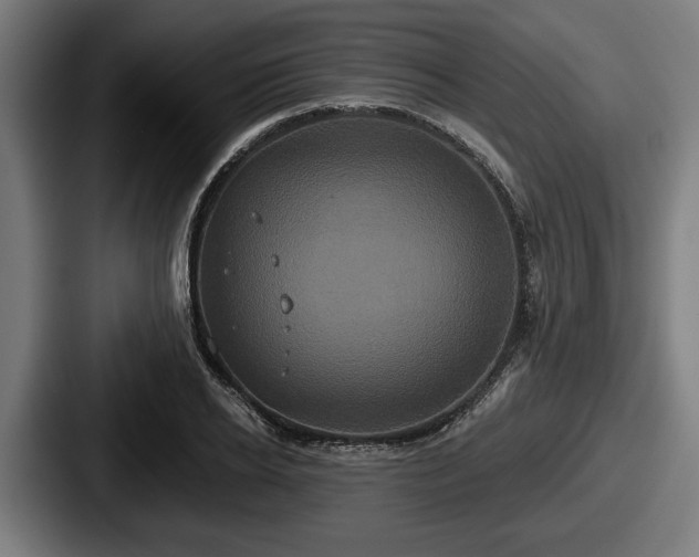 X0000087700934200705111400