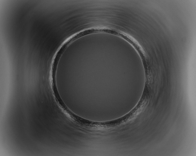 X0000087700935200705111400