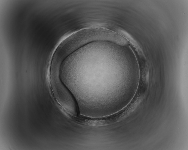 X0000087700936200705111400