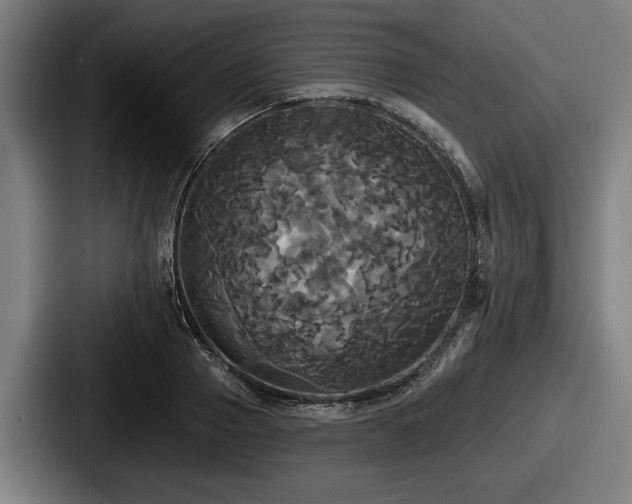 X0000087700937200705111400