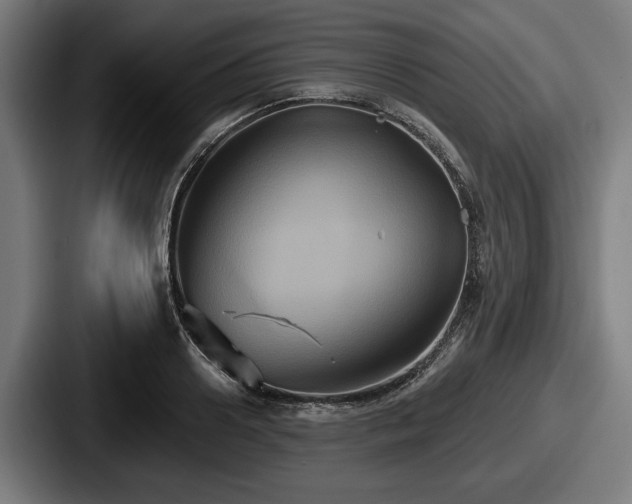 X0000087700938200705111400