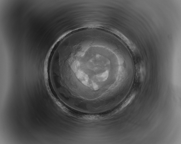 X0000087700939200705111400