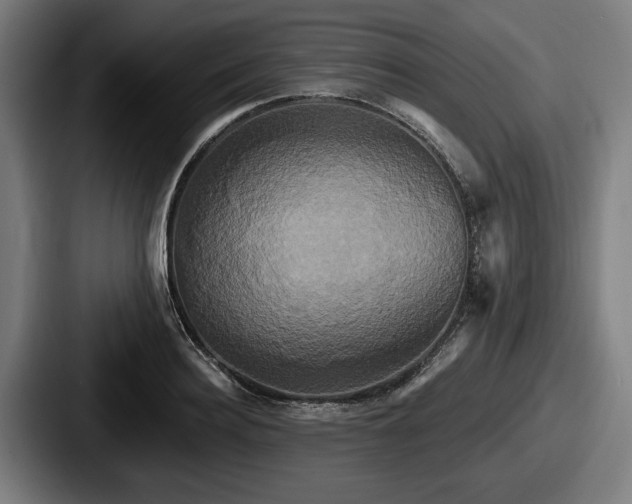 X0000087700940200705111400