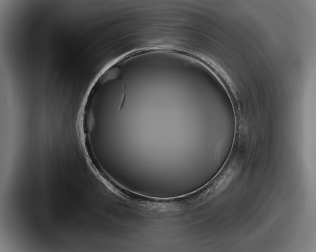 X0000087700941200705111400