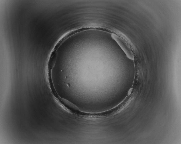 X0000087700942200705111400