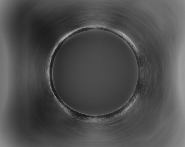 X0000087700943200705111400